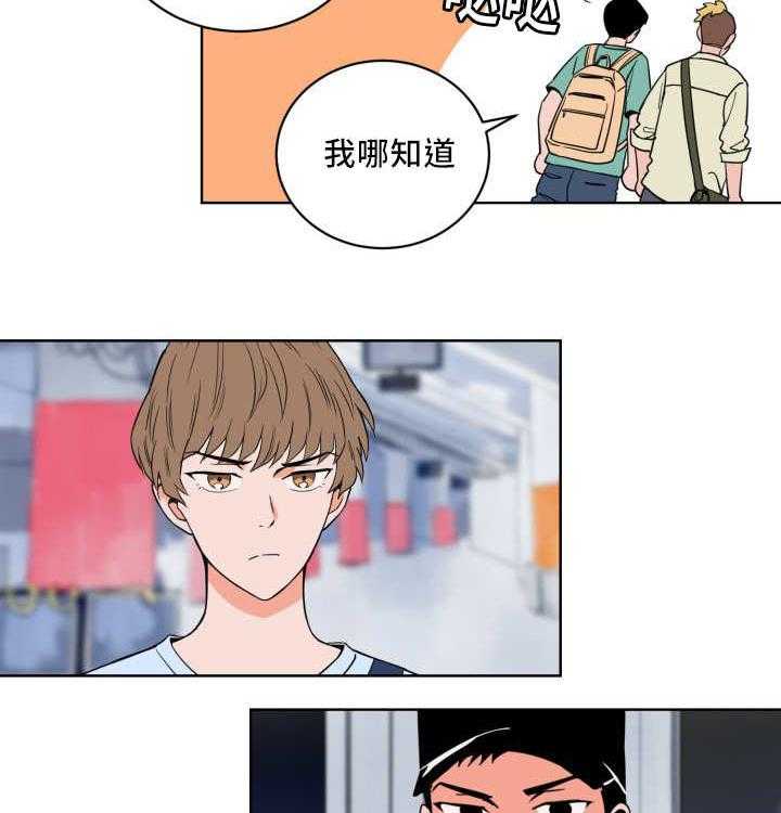 第17话_对于你的了解5