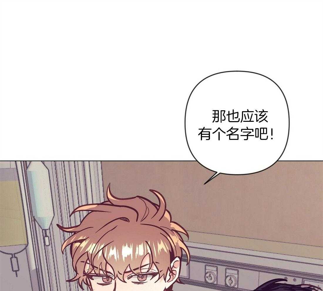 第69话_给胎儿取名16
