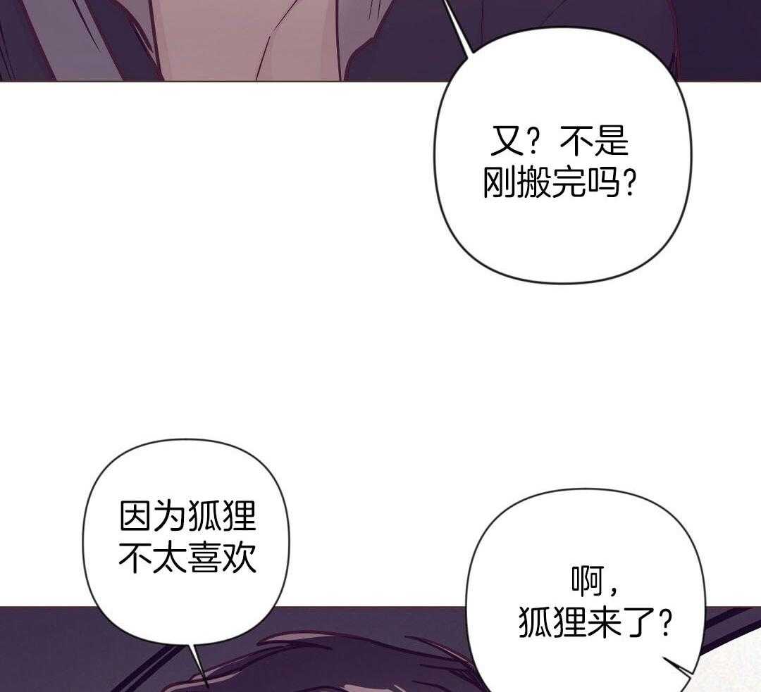 第52话_很爱小狐狸14