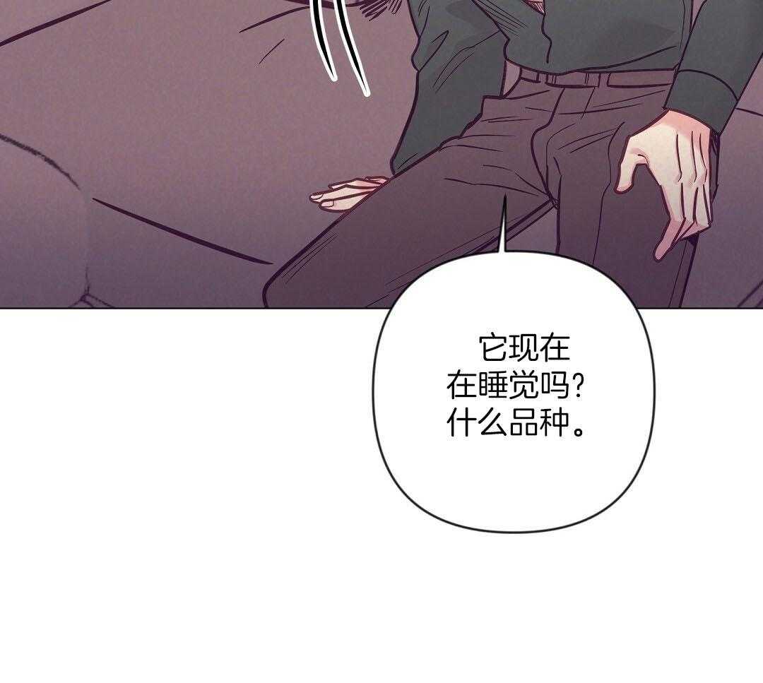 第50话_一点套路37
