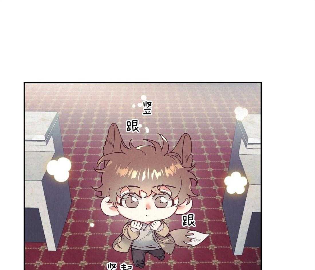第14话_需要确认15