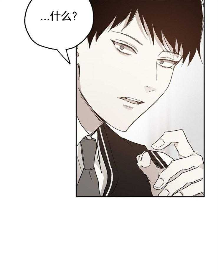 第47话_喜欢他的理由27