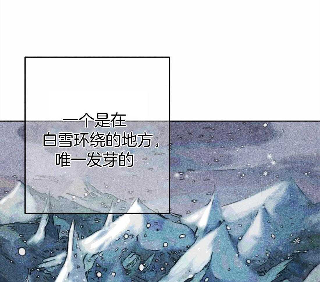 第34话_祝福的证据22