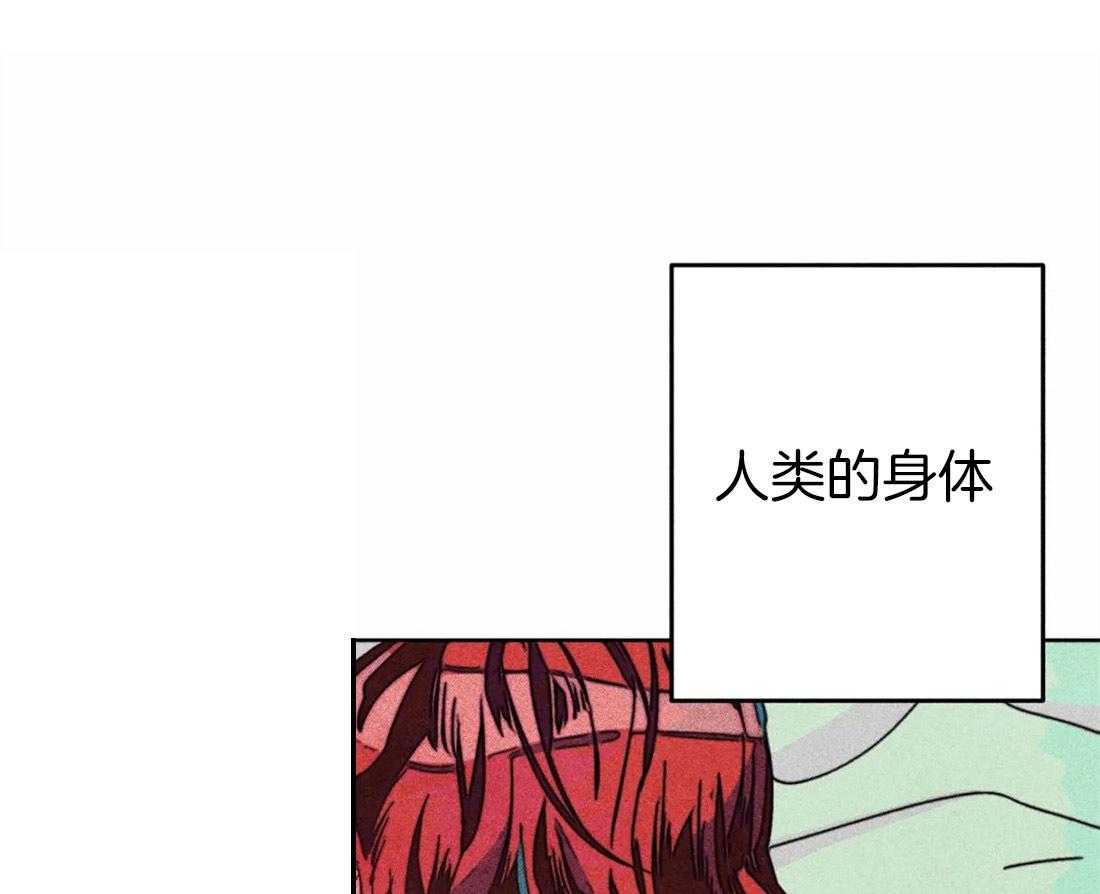 第38话_本能16