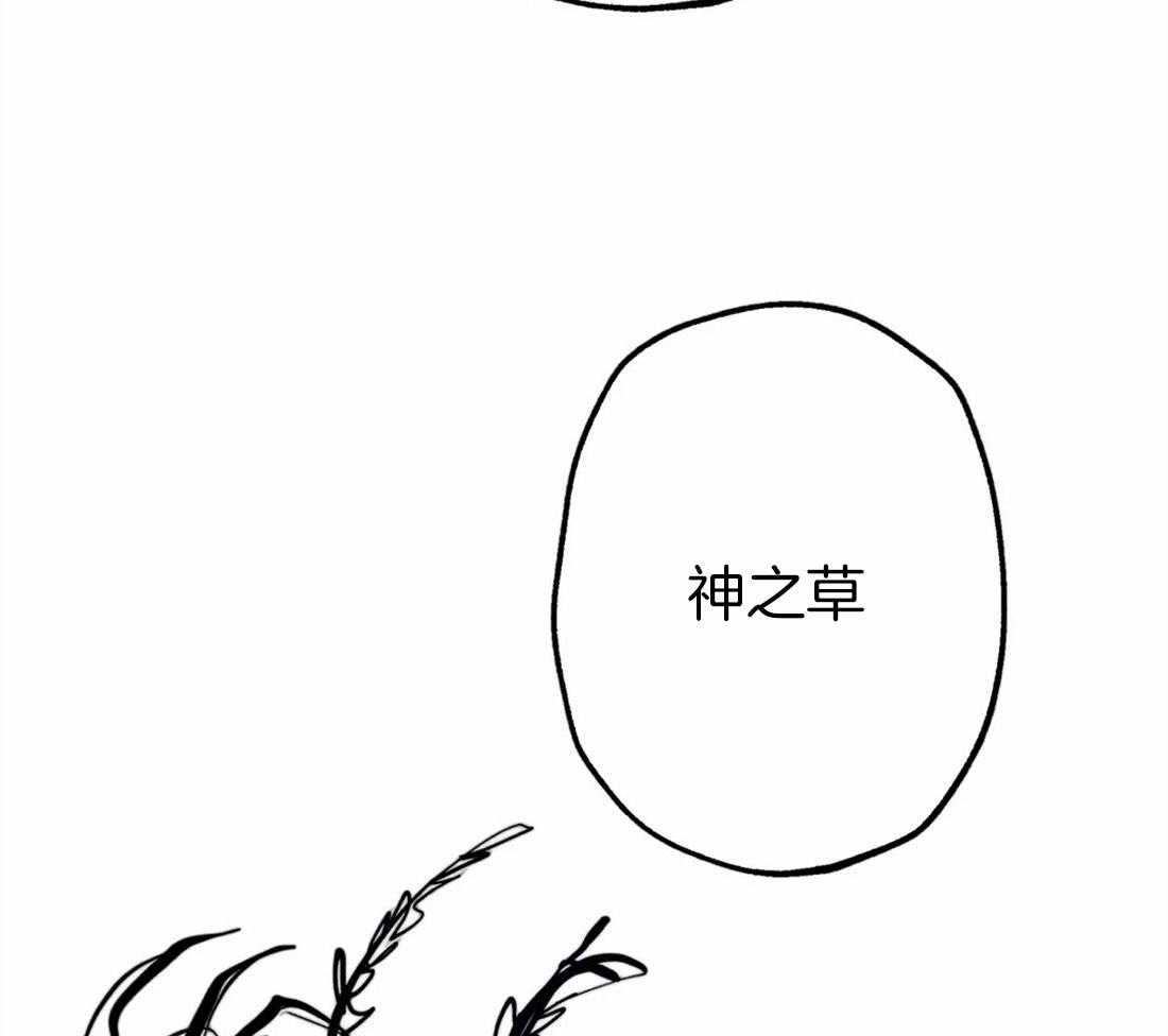 第40话_嫉妒的脸庞6