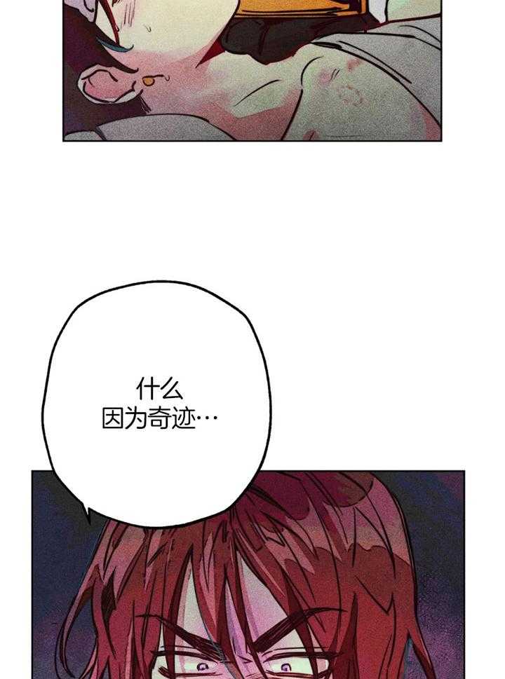 第62话_原先的计划17