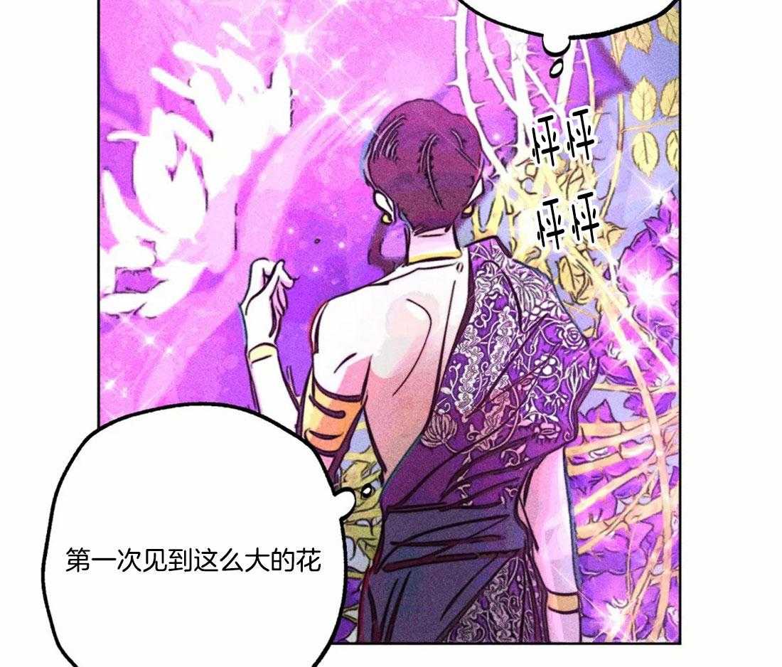 第81话_神秘的花12