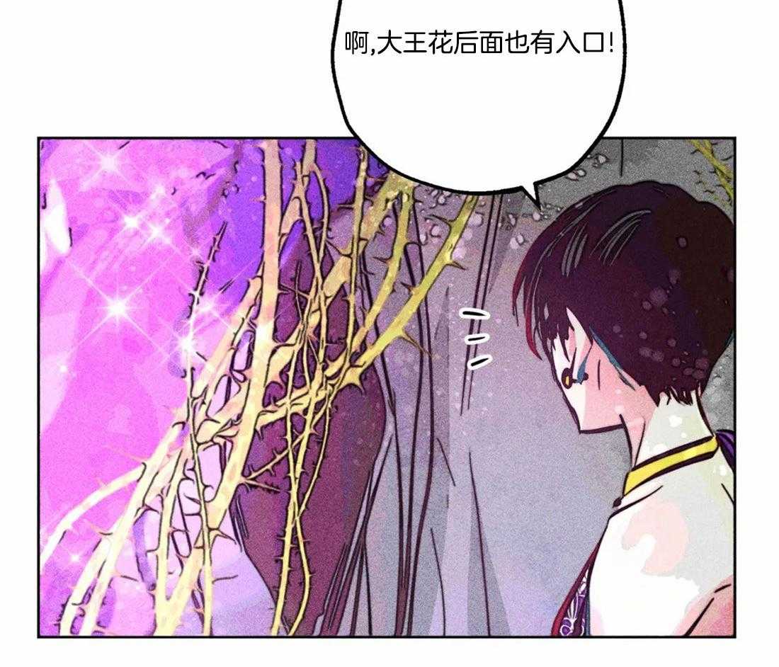 第81话_神秘的花15