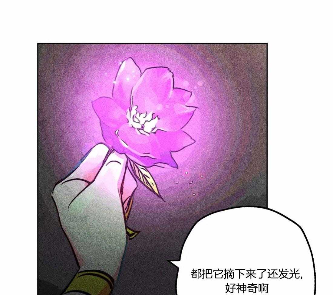 第81话_神秘的花18
