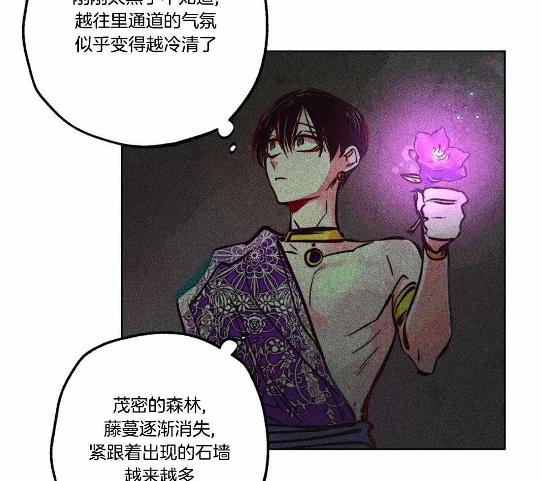 第81话_神秘的花20