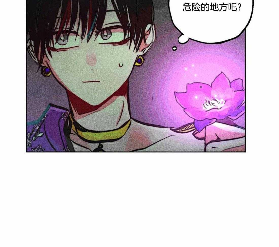 第81话_神秘的花22