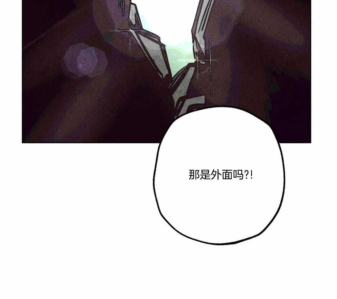 第81话_神秘的花25