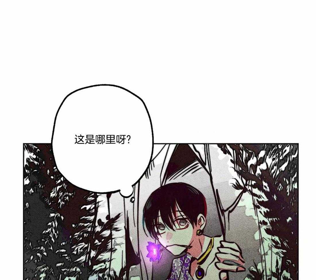 第81话_神秘的花26