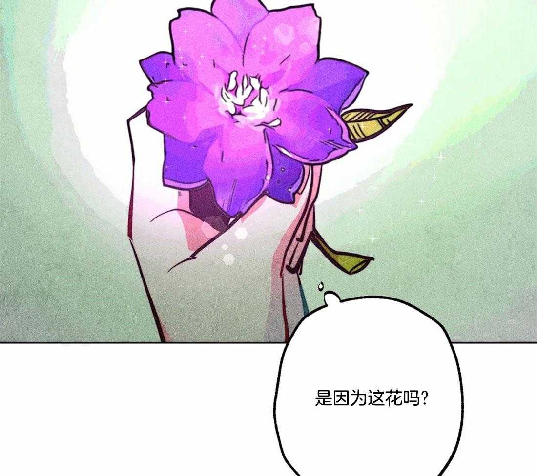 第81话_神秘的花33
