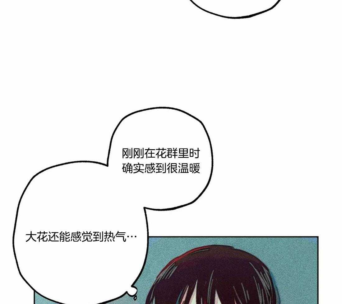 第81话_神秘的花34