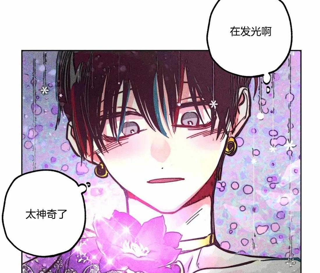第81话_神秘的花6