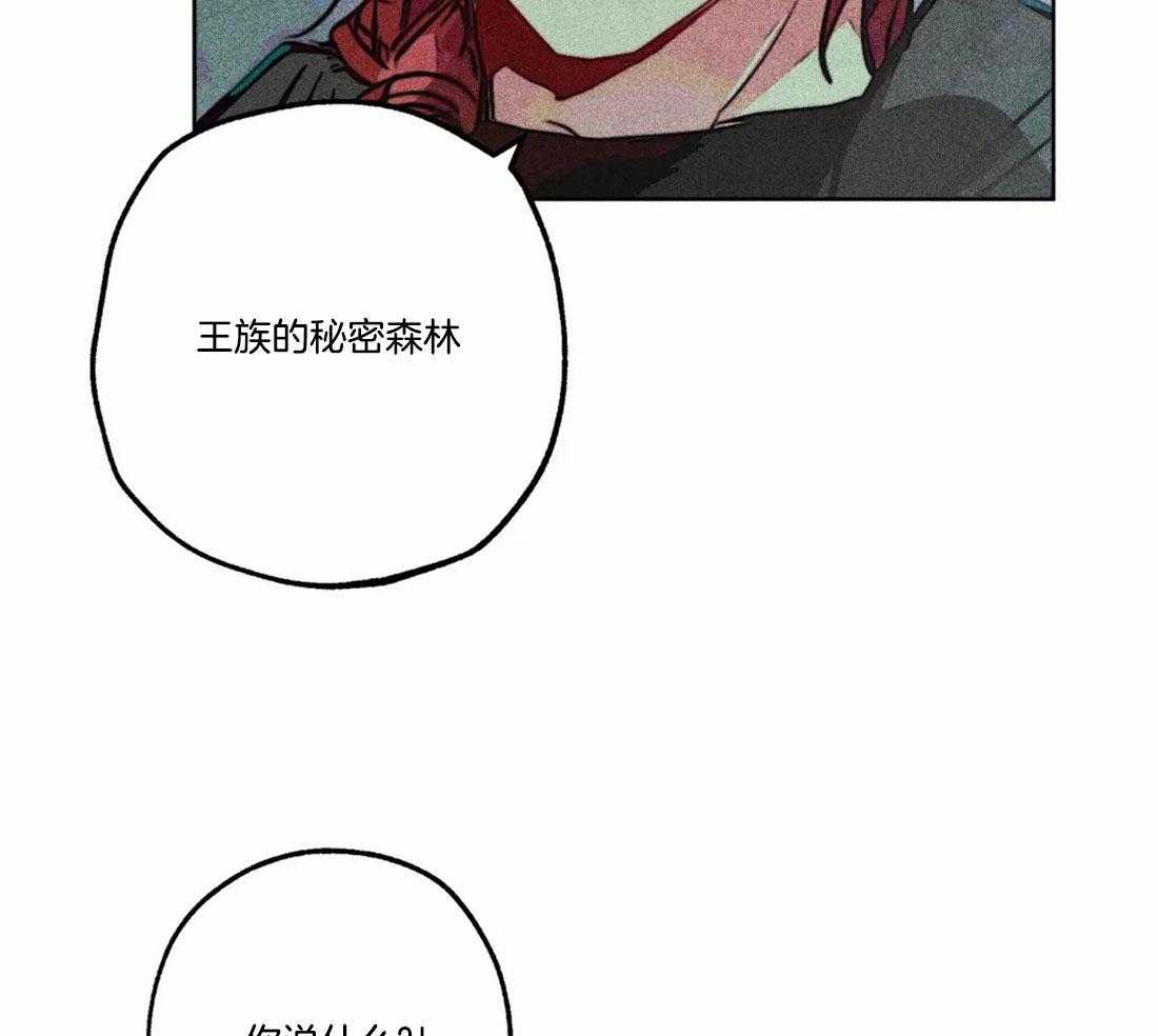 第82话_秘密的约会11