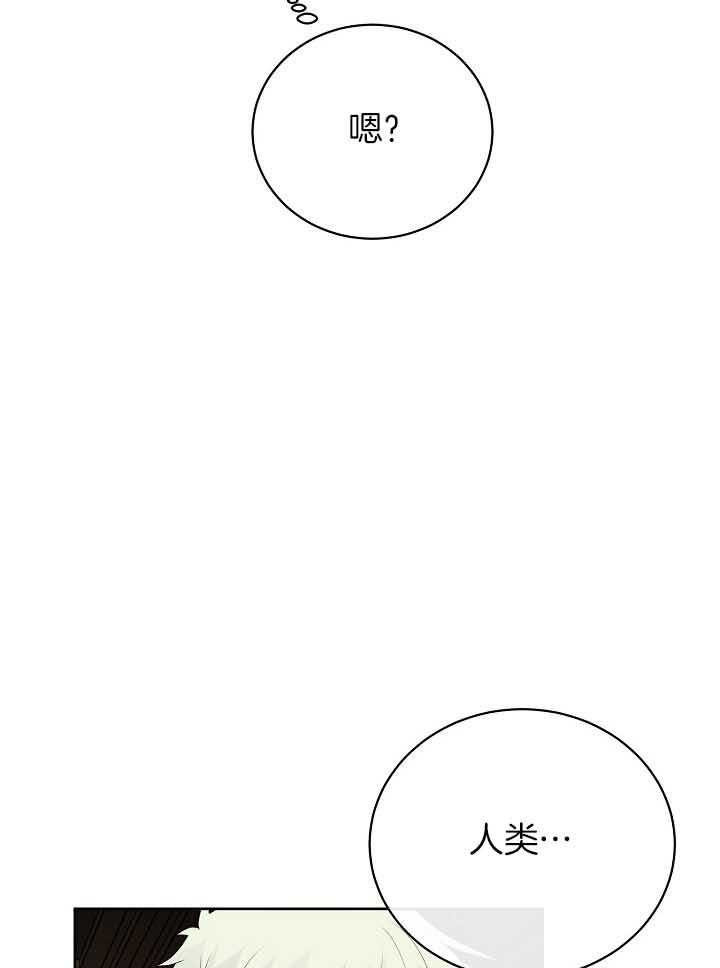 第79话_担忧33