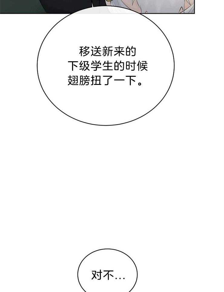 第74话_你是我的41