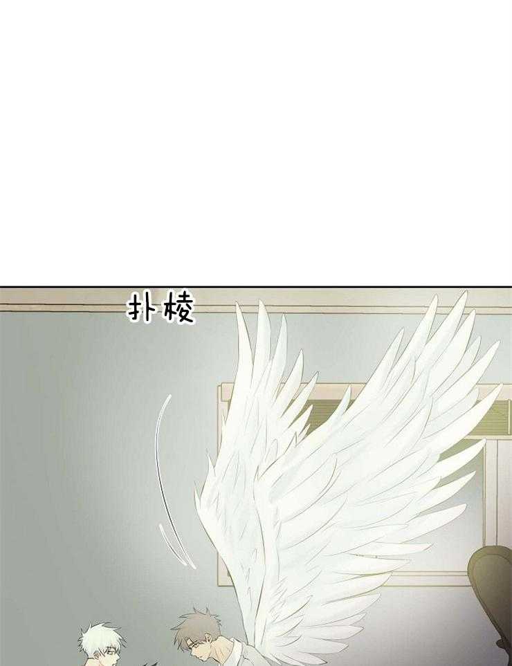 第70话_其他天使49