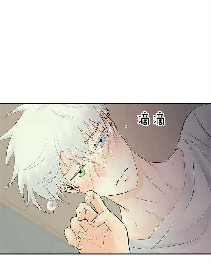 第66话_重伤倒地35