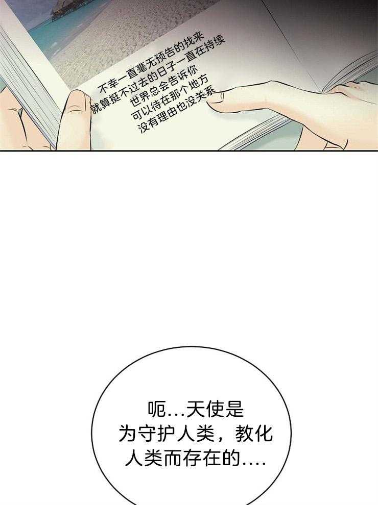 第61话_错过了什么28