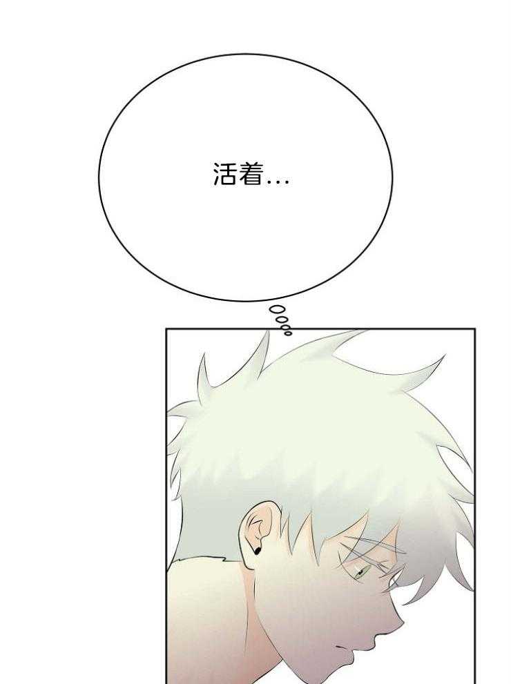 第61话_错过了什么33