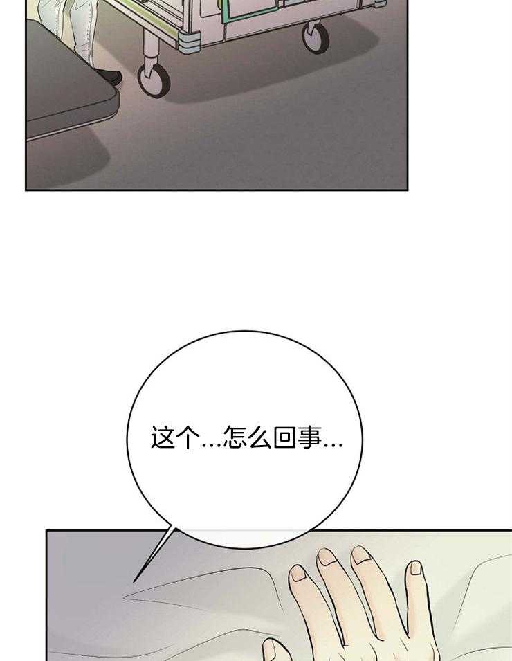 第43话_相似的人15