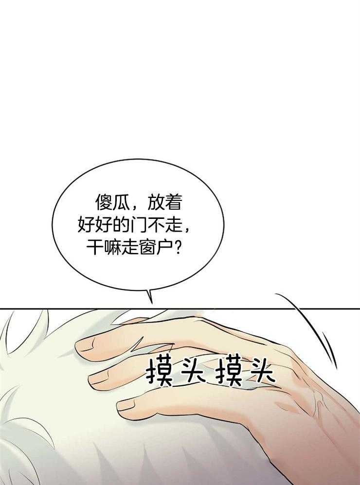 第37话_遗忘14