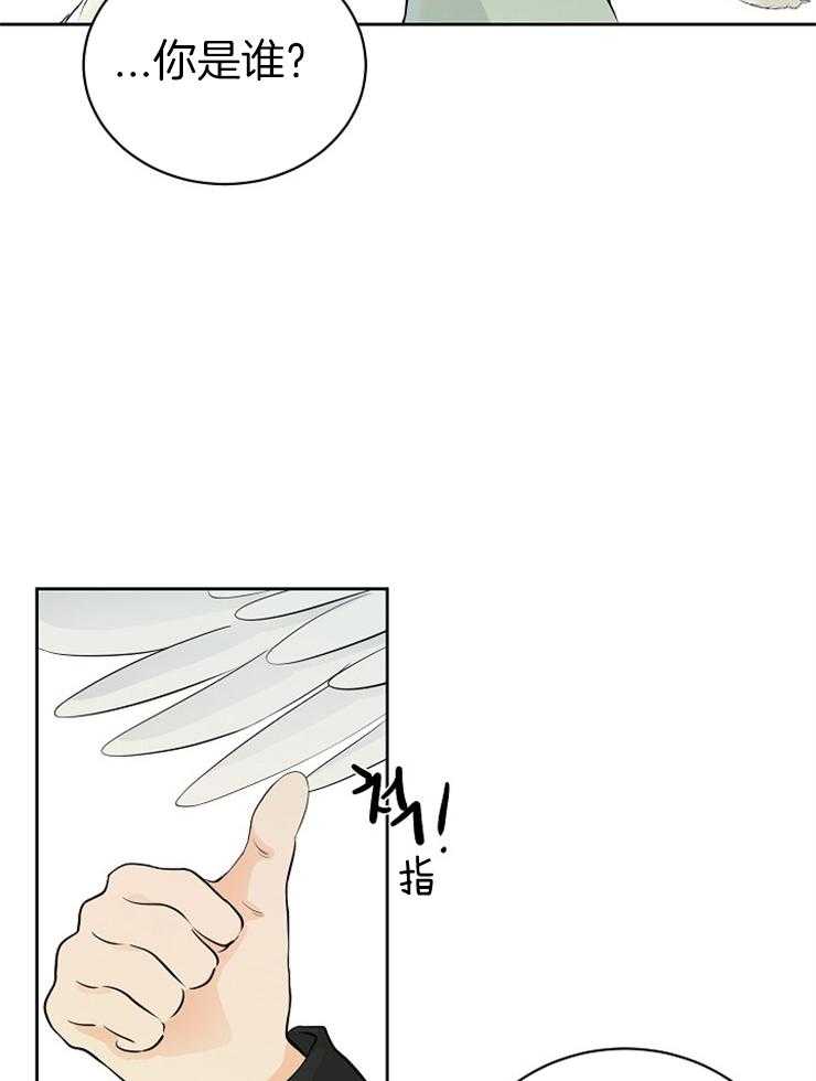 第2话_从天而降3