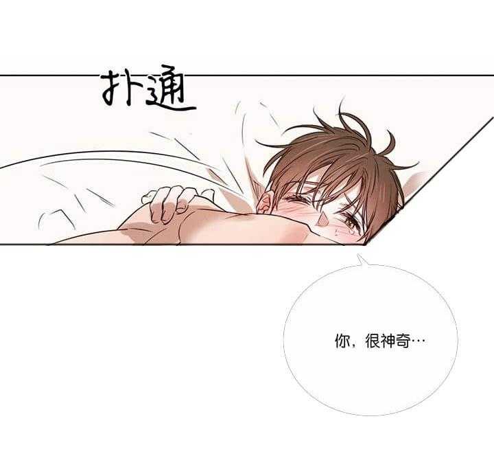 第50话_对不起16