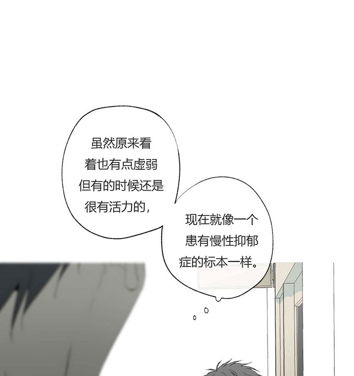 第66话_标本4