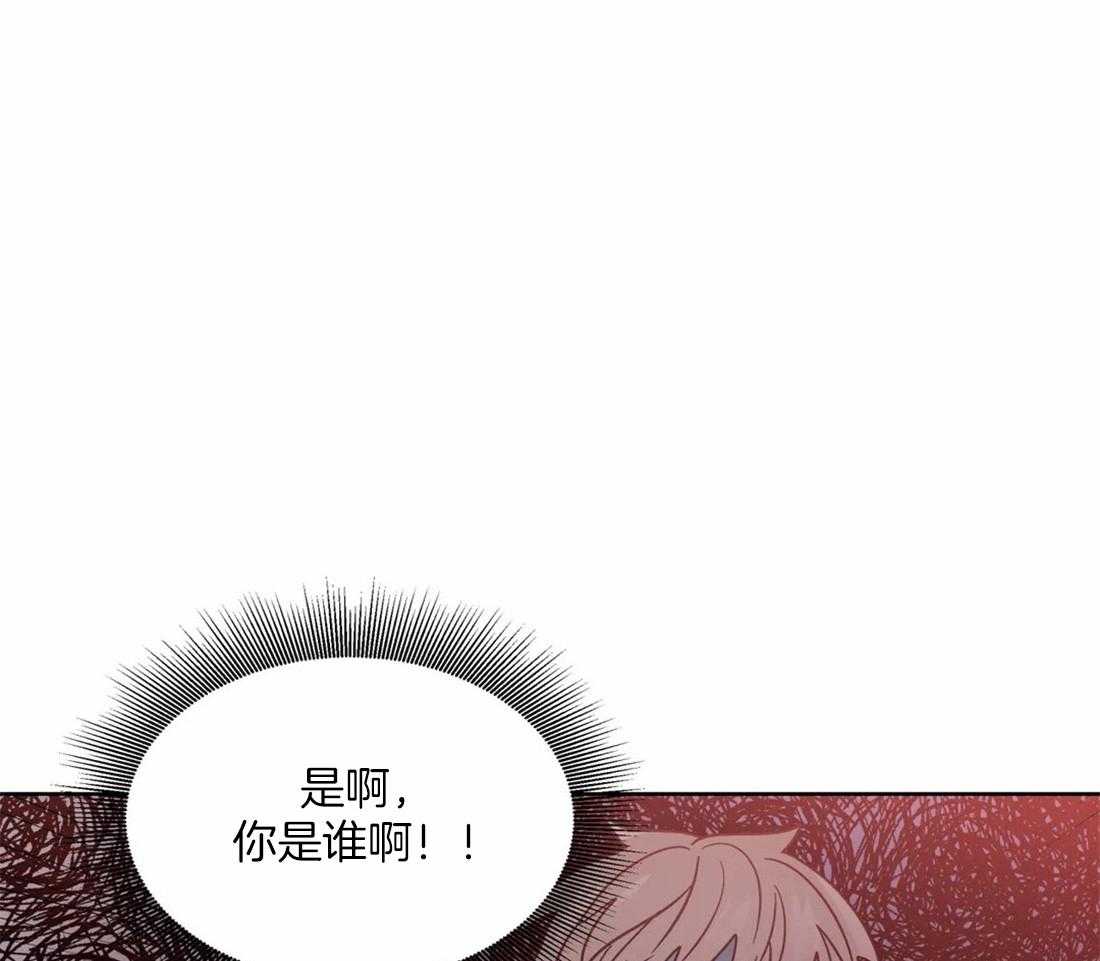 第112话_固定23