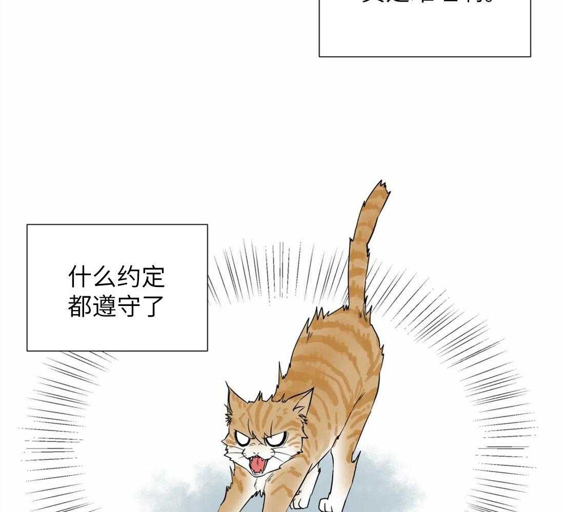 第65话_对你的习惯6