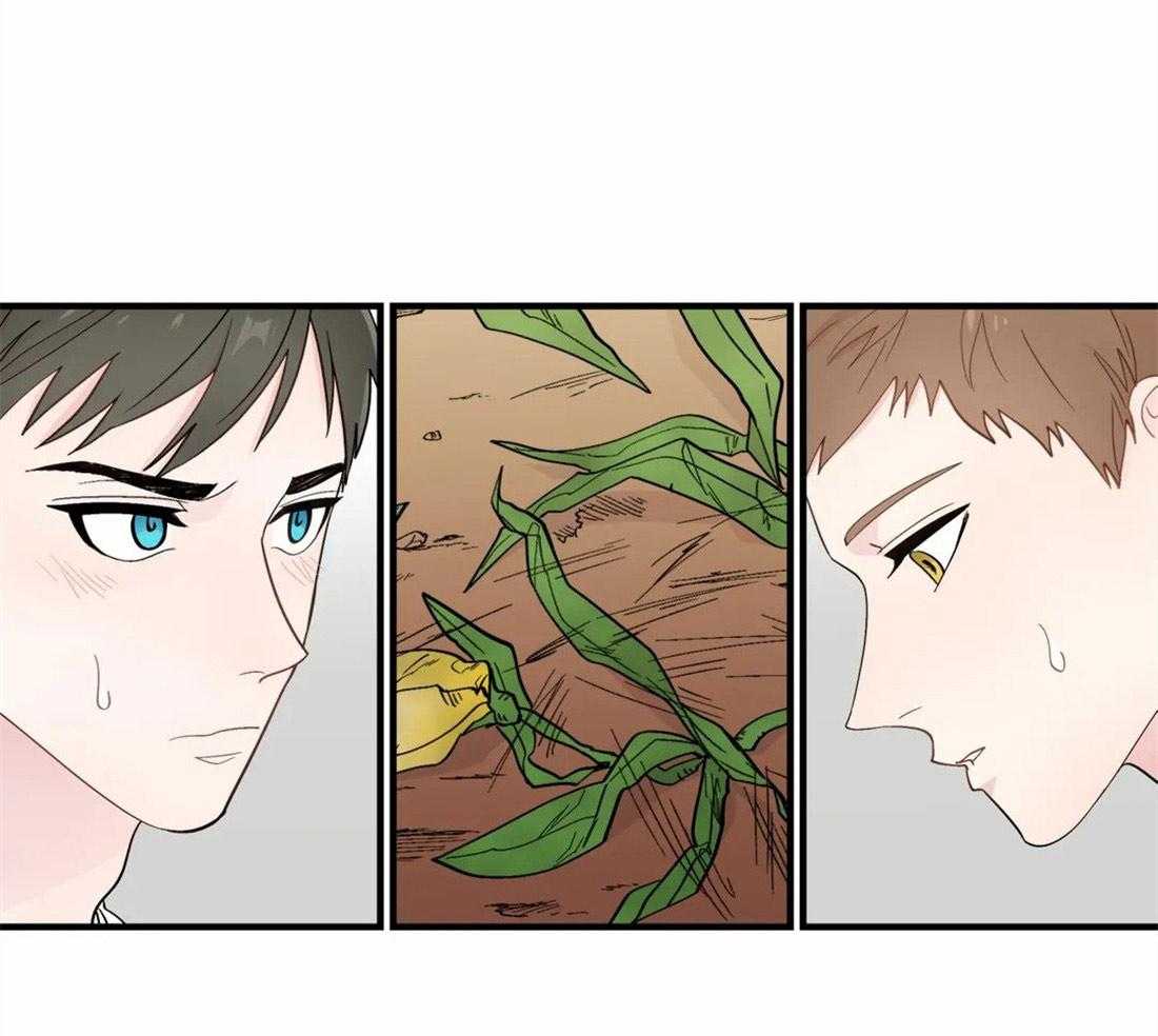 第34话_对他的执着7