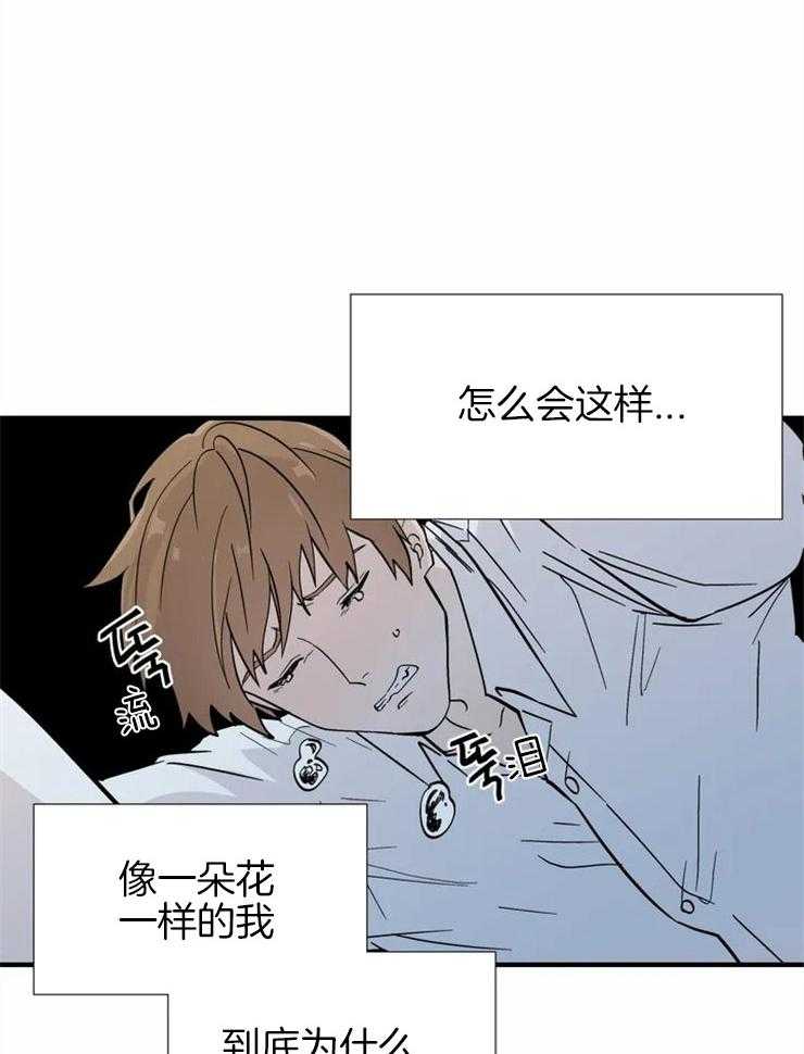 第14话_不可抗力6