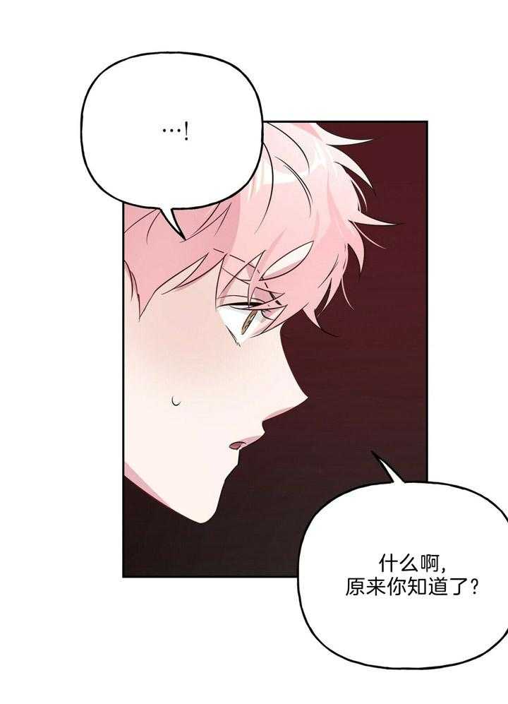 第53话_原来你不讨厌啊14