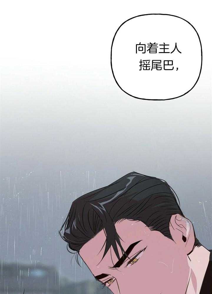 第52话_成为我的狗12
