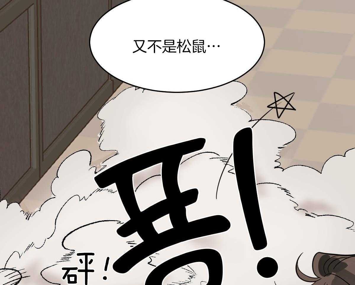第64话_屯坚果的快乐38