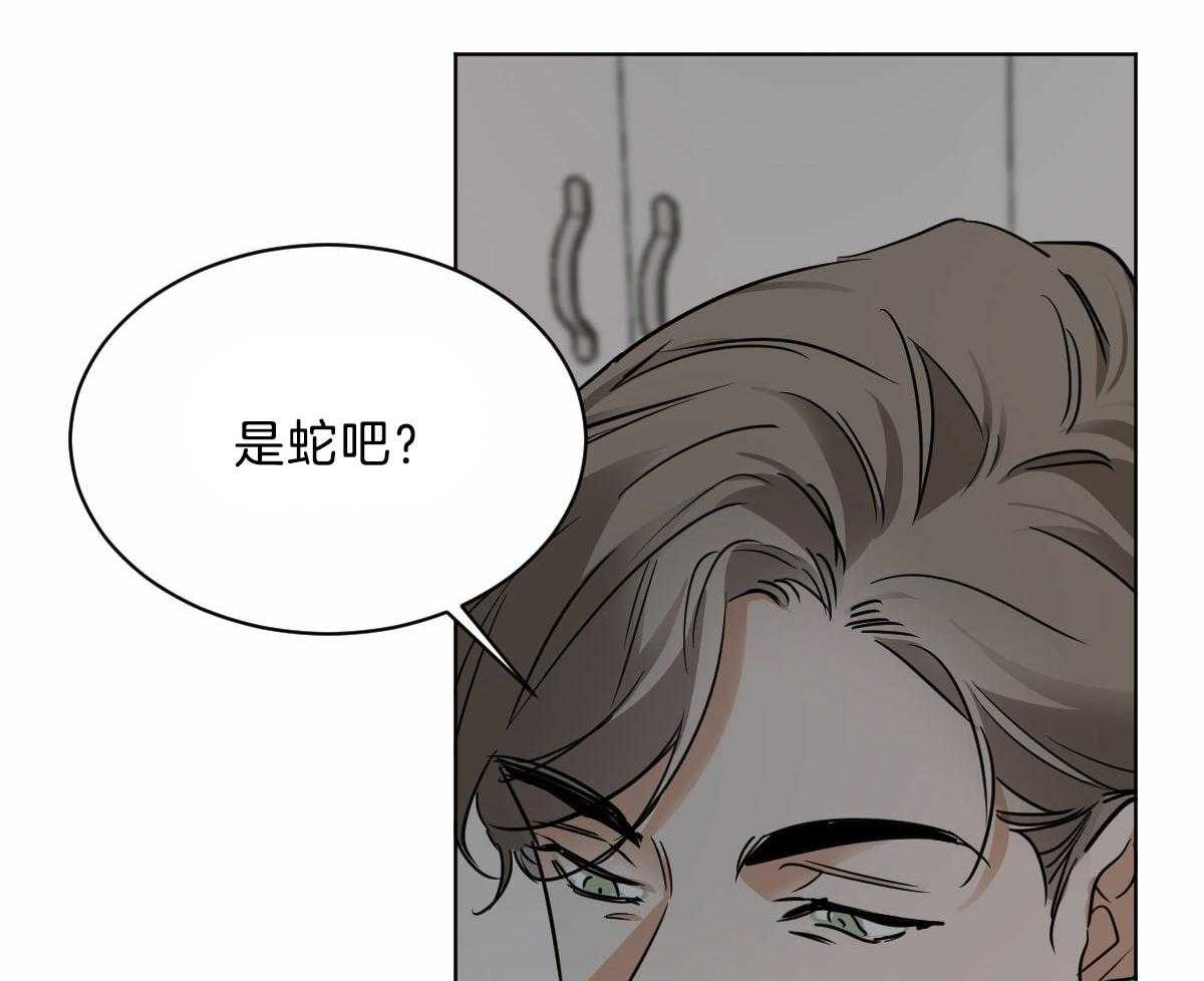第43话_他是蛇吧2