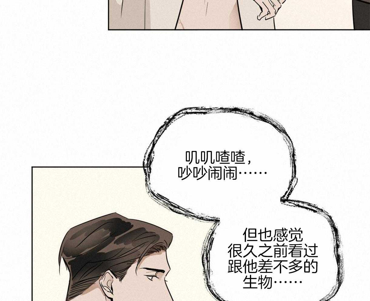 第13话_小松鼠26
