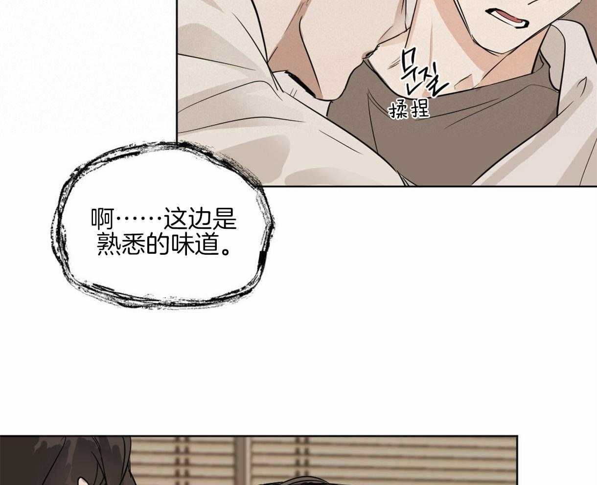 第13话_小松鼠8