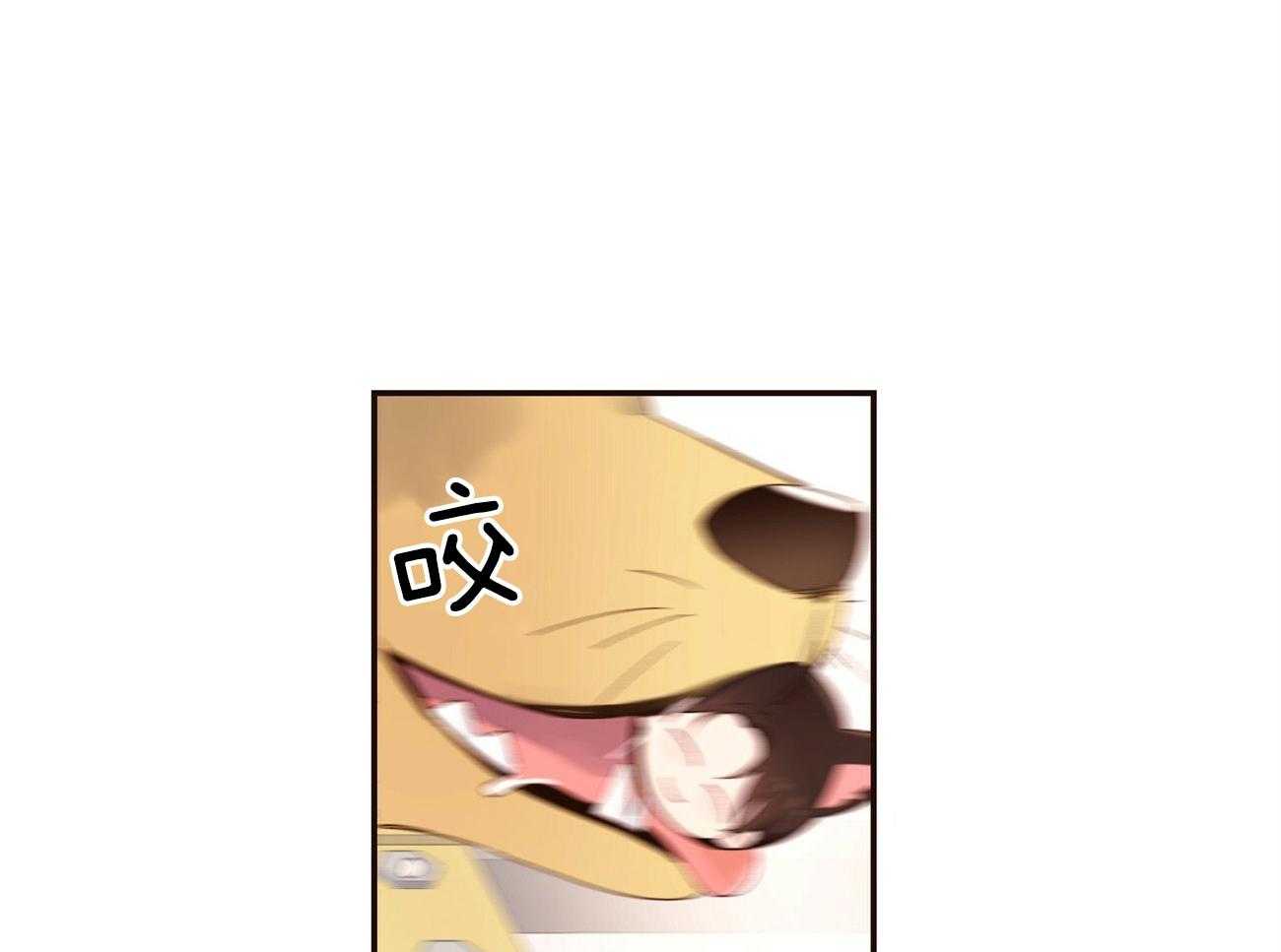 第88话_变成猫团惹（番外2）33
