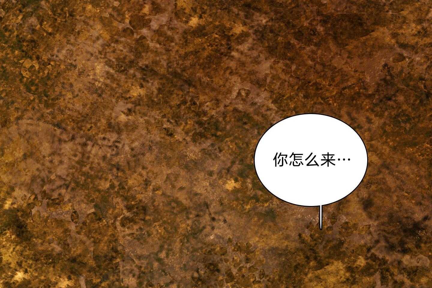 第200话_生日礼物0