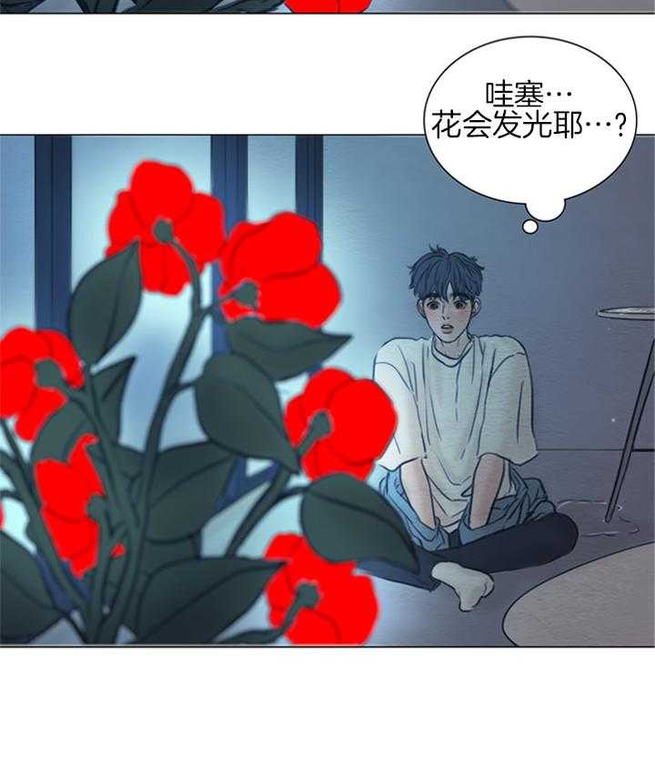第172话_发光的花13