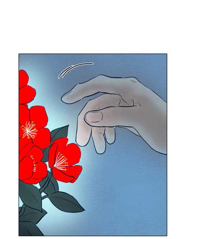 第172话_发光的花14
