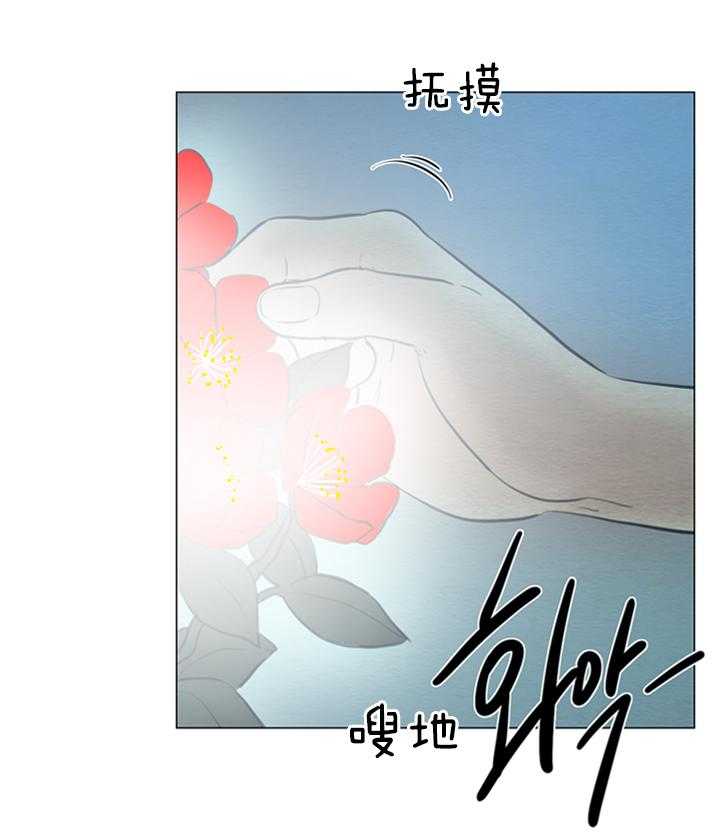 第172话_发光的花15