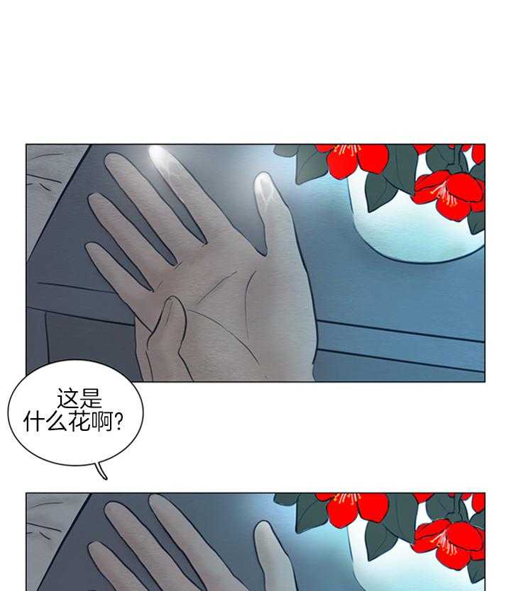 第172话_发光的花17