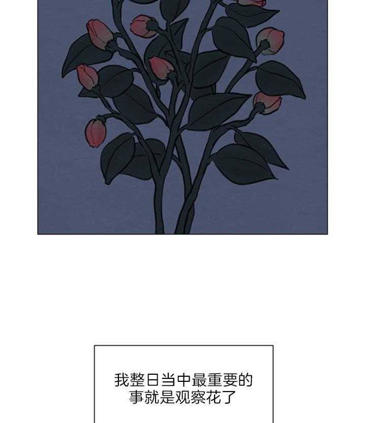 第140话_绽放的花9