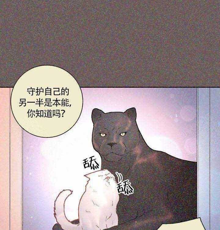 第82话_标记14